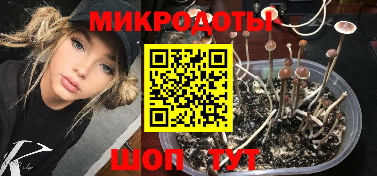 Псилоцибиновые грибы ЛСД  Псилоцибиновые грибы Cubensis  Вход с VPN  Павлово 