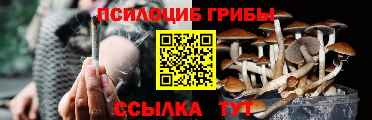 Галлюциногенные грибы Cubensis Павлово